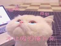 贵州博业丰商贸有限公司
