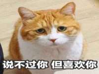 贵州博业丰商贸有限公司