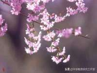 贵州博业丰商贸有限公司