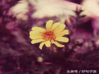 贵州博业丰商贸有限公司