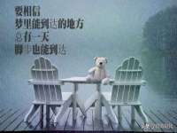贵州博业丰商贸有限公司