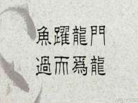 贵州博业丰商贸有限公司