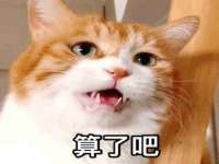 贵州博业丰商贸有限公司