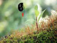 贵州博业丰商贸有限公司