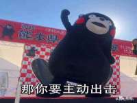 贵州博业丰商贸有限公司