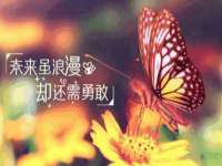 贵州博业丰商贸有限公司