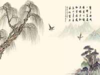 贵州博业丰商贸有限公司