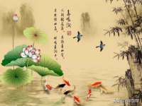 贵州博业丰商贸有限公司