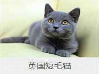 贵州博业丰商贸有限公司