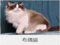 贵州博业丰商贸有限公司
