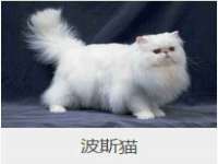 贵州博业丰商贸有限公司