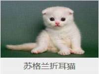 贵州博业丰商贸有限公司