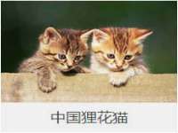 贵州博业丰商贸有限公司