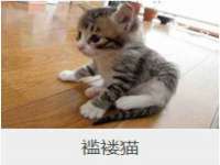贵州博业丰商贸有限公司