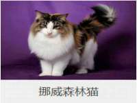 贵州博业丰商贸有限公司