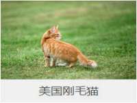 贵州博业丰商贸有限公司