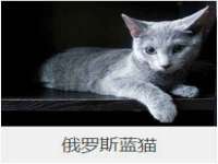 贵州博业丰商贸有限公司