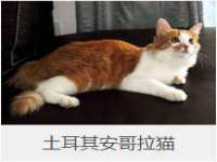 贵州博业丰商贸有限公司