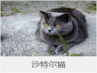 贵州博业丰商贸有限公司