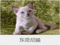 贵州博业丰商贸有限公司