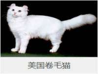 贵州博业丰商贸有限公司