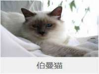 贵州博业丰商贸有限公司