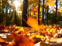 贵州博业丰商贸有限公司