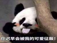 贵州博业丰商贸有限公司
