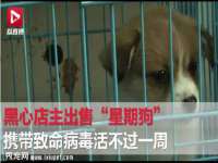 贵州博业丰商贸有限公司