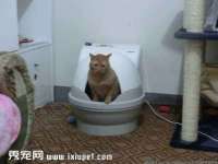 贵州博业丰商贸有限公司