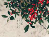 贵州博业丰商贸有限公司