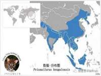 贵州博业丰商贸有限公司