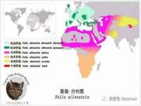 贵州博业丰商贸有限公司