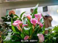 贵州博业丰商贸有限公司