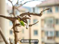贵州博业丰商贸有限公司