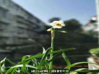 贵州博业丰商贸有限公司