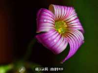贵州博业丰商贸有限公司
