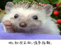 贵州博业丰商贸有限公司