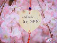 贵州博业丰商贸有限公司