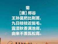 贵州博业丰商贸有限公司