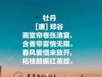 贵州博业丰商贸有限公司