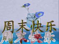 贵州博业丰商贸有限公司