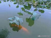贵州博业丰商贸有限公司
