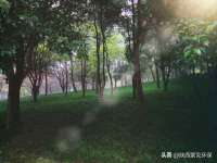 贵州博业丰商贸有限公司