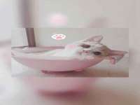 贵州博业丰商贸有限公司