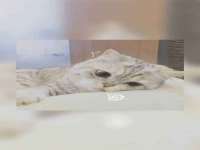 贵州博业丰商贸有限公司