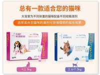 贵州博业丰商贸有限公司