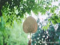 贵州博业丰商贸有限公司