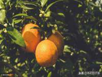 贵州博业丰商贸有限公司
