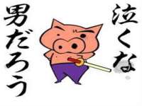 贵州博业丰商贸有限公司